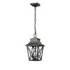 Outdoor Pendant Light Fixture, Black Farmhouse Outdoor Pendant Lights for Porch with Clear Glass