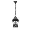 Outdoor Pendant Light Fixture, Black Farmhouse Outdoor Pendant Lights for Porch with Clear Glass